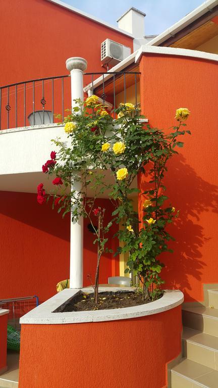 Deluxe Twin Room,404226210:JPEG