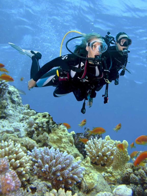 Tauchkurs PADI Open Water
