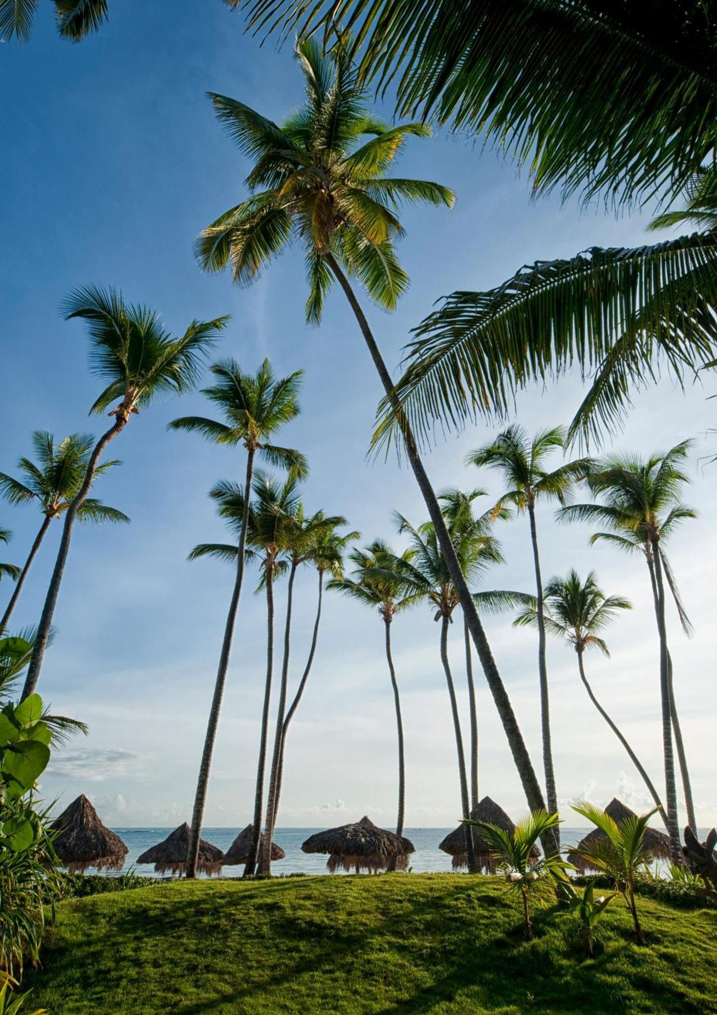 Deluxe Room,1216384285:JPEG