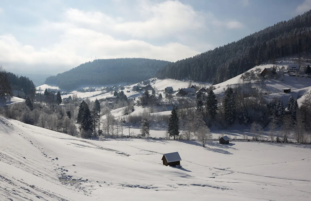 Hotel Traube Tonbach-1