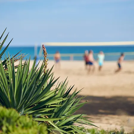 Pilot Beach Resort-2