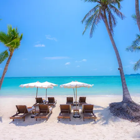 Chaweng Regent Beach Resort - SHA Extra Plus-2