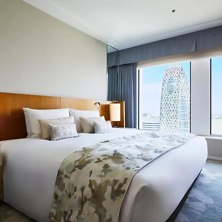 Keio Plaza Hotel Tokyo Premier Grand-2