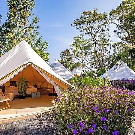 Roost Glamping-3