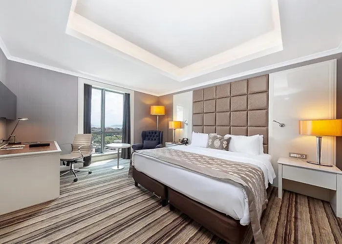Dedeman Bostanci Istanbul Hotel & Convention Center