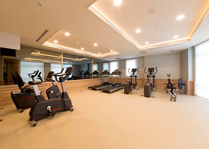 Hotel Millennium Istanbul Golden Horn