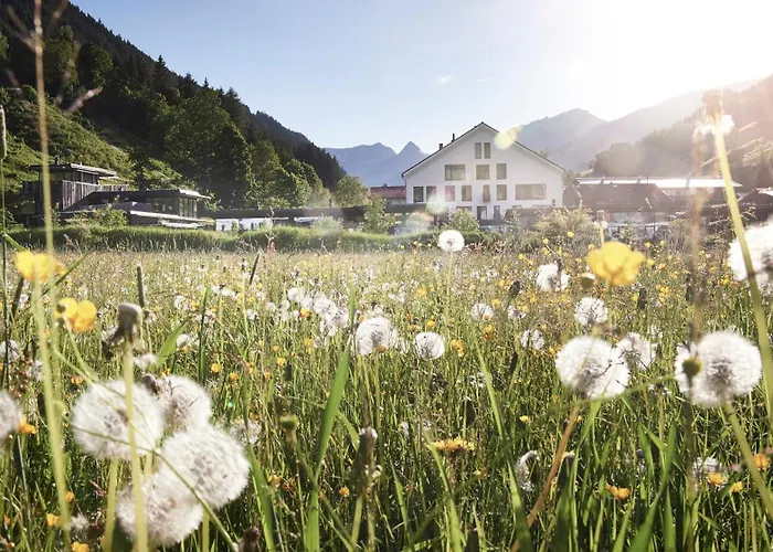 Wiesergut Saalbach-Hinterglemm