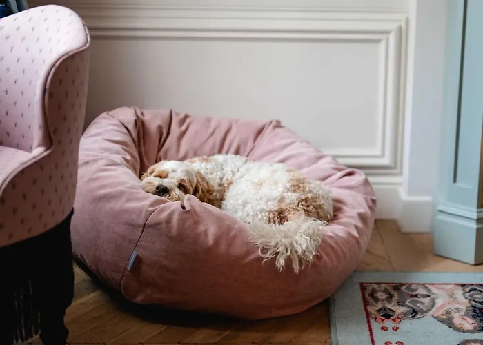 Hotel The Leo Grand Wien